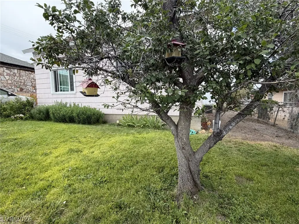 29 Avenue D, McGill, NV 89318 - #1