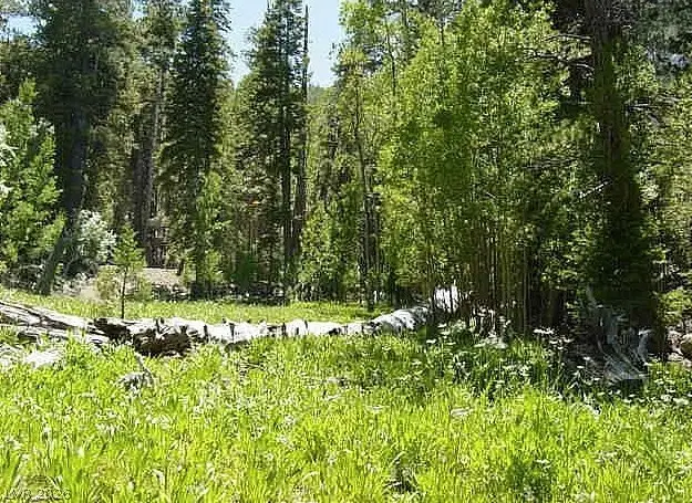 0 Deer Creek, Mount Charleston, NV 89124 - #1