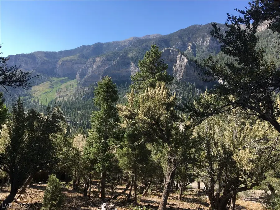 4878 Snow White Road, Mount Charleston, NV 89124 - #2