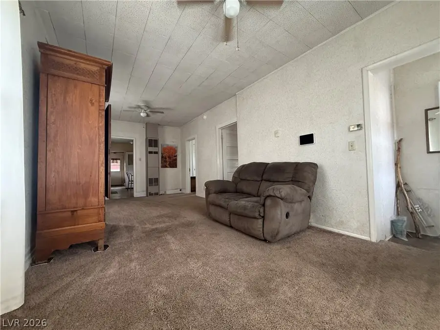 825 Canyon Street, Ely, NV 89301 - #3