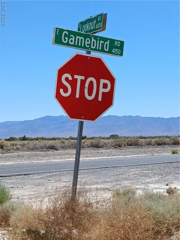 3981 S Lookout Avenue, Pahrump, NV 89048 - #2