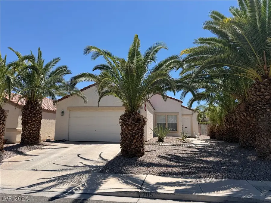 705 Salt Flats Circle, Henderson, NV 89011 - #2