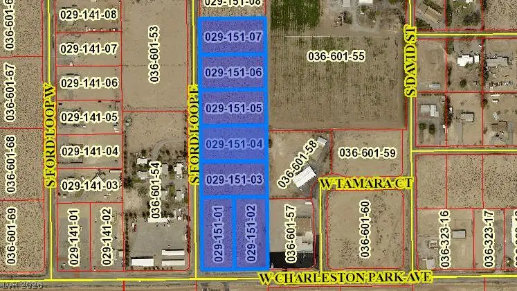 1640 W Charleston Park Avenue, Pahrump, NV 89048 - #2