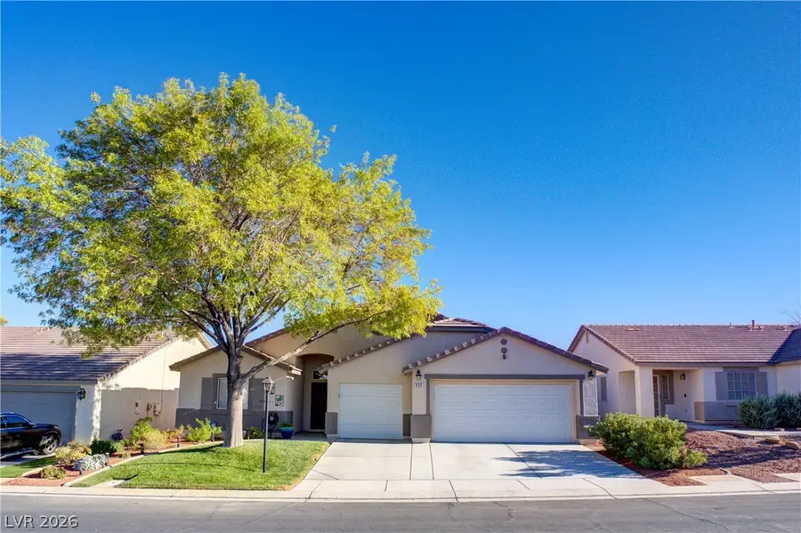 833 Dulcet Drive, North Las Vegas, NV 89032 - #3