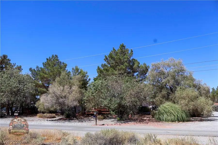 1380 S Happy Lane, Pahrump, NV 89048 - #3