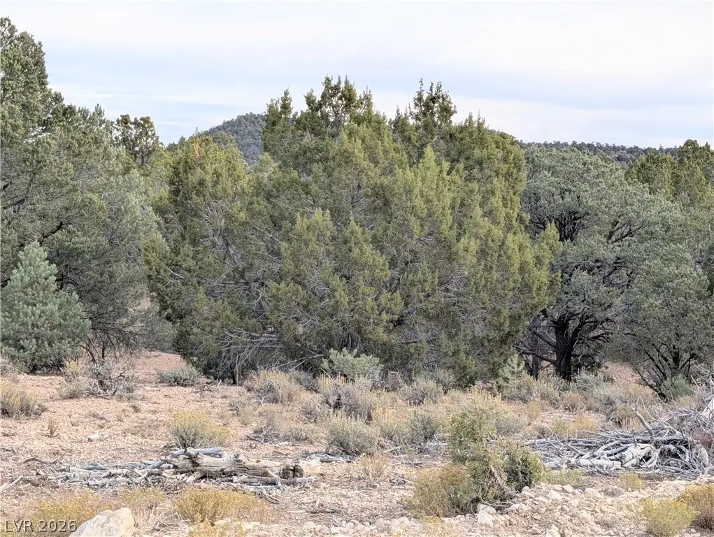 Lot 1-B Side Hill Pass, Pioche, NV 89043 - #1