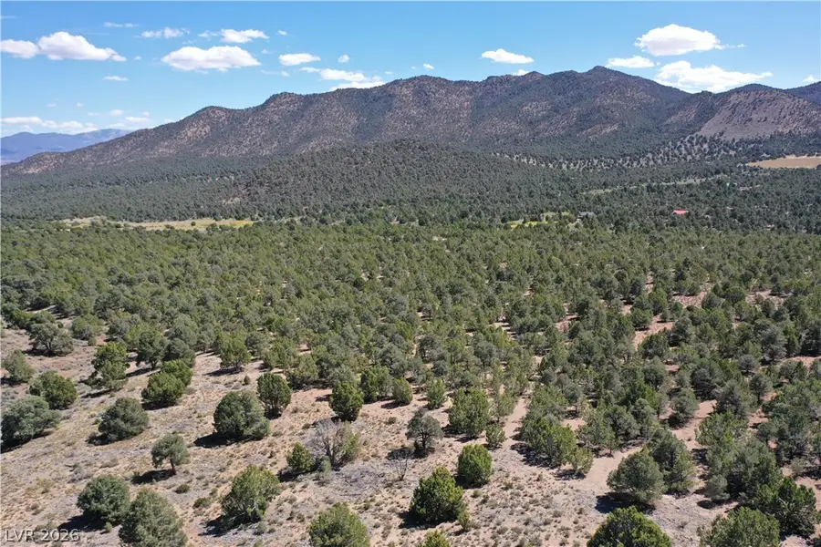 Lot 1-B Side Hill Pass, Pioche, NV 89043 - #2
