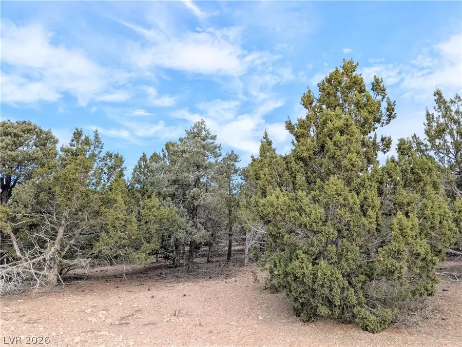 Lot 1-B Side Hill Pass, Pioche, NV 89043 - #3