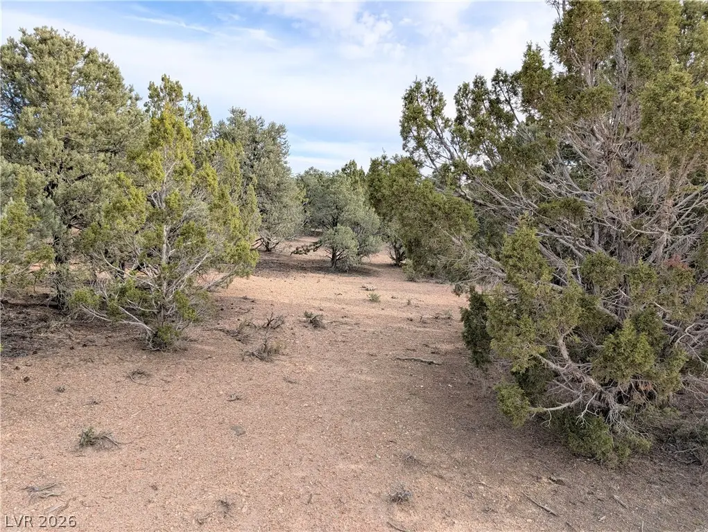 Lot 1-C Side Hill Pass, Pioche, NV 89043 - #1