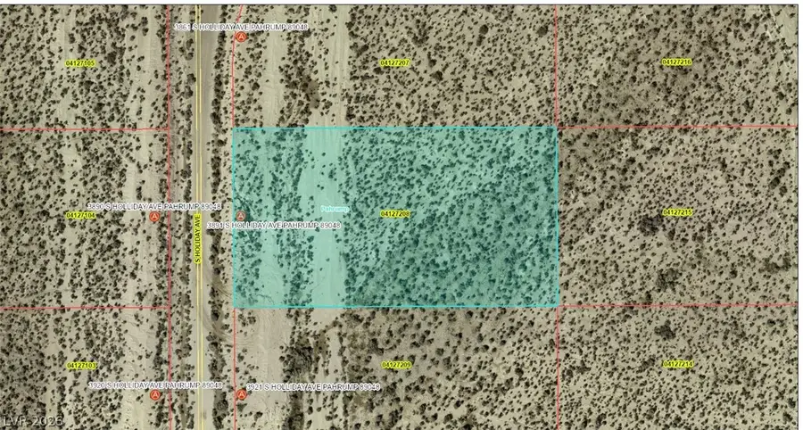 3891 S Holliday Avenue, Pahrump, NV 89048 - #3
