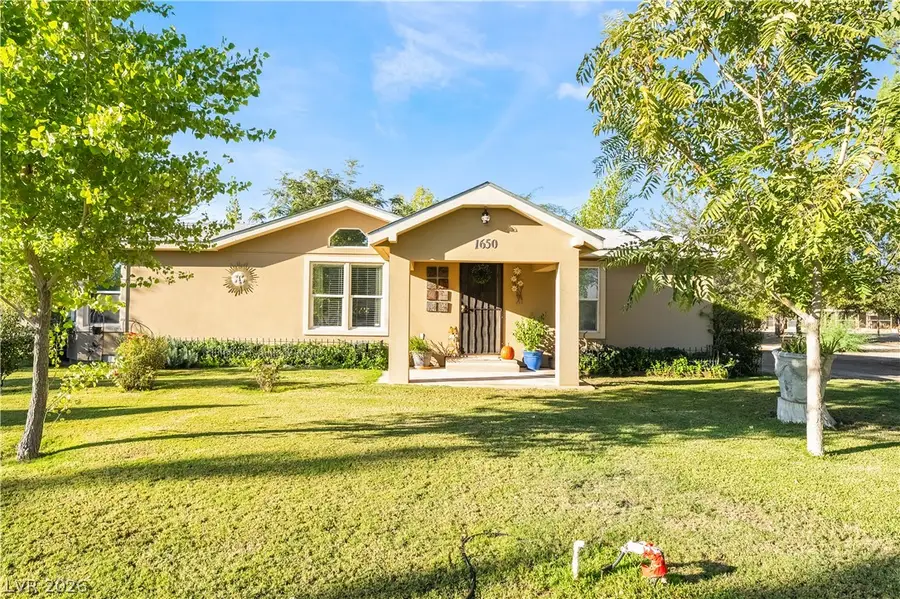1650 Pequot Street, Sandy Valley, NV 89019 - #3