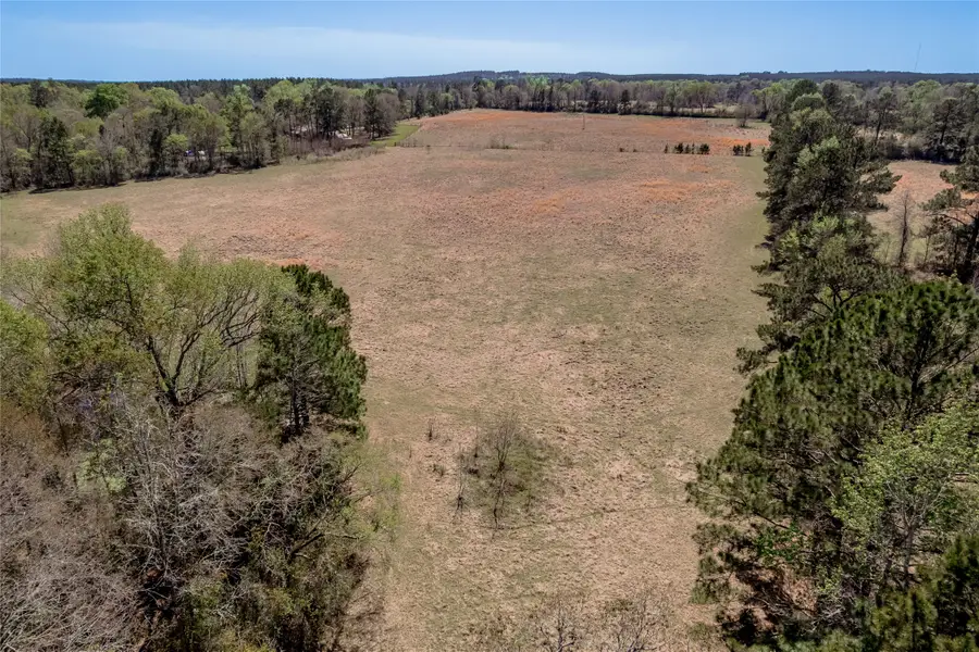 NA Kickapoo Road, Groveton, TX 75845 - #3