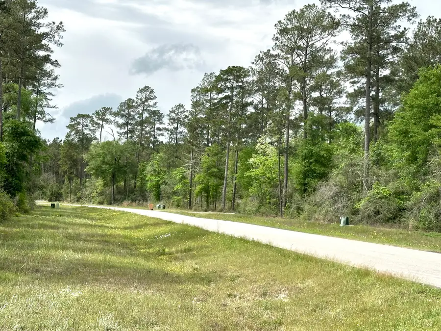 15812 Wood Grove Way, Willis, TX 77378 - #2