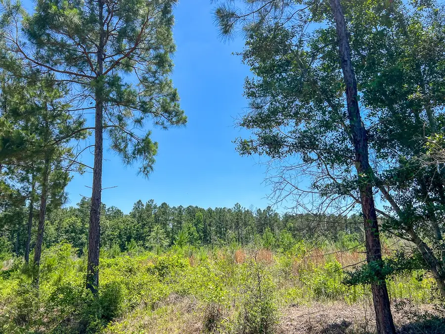 T-2 Union Springs Road, Corrigan, TX 75939 - #3