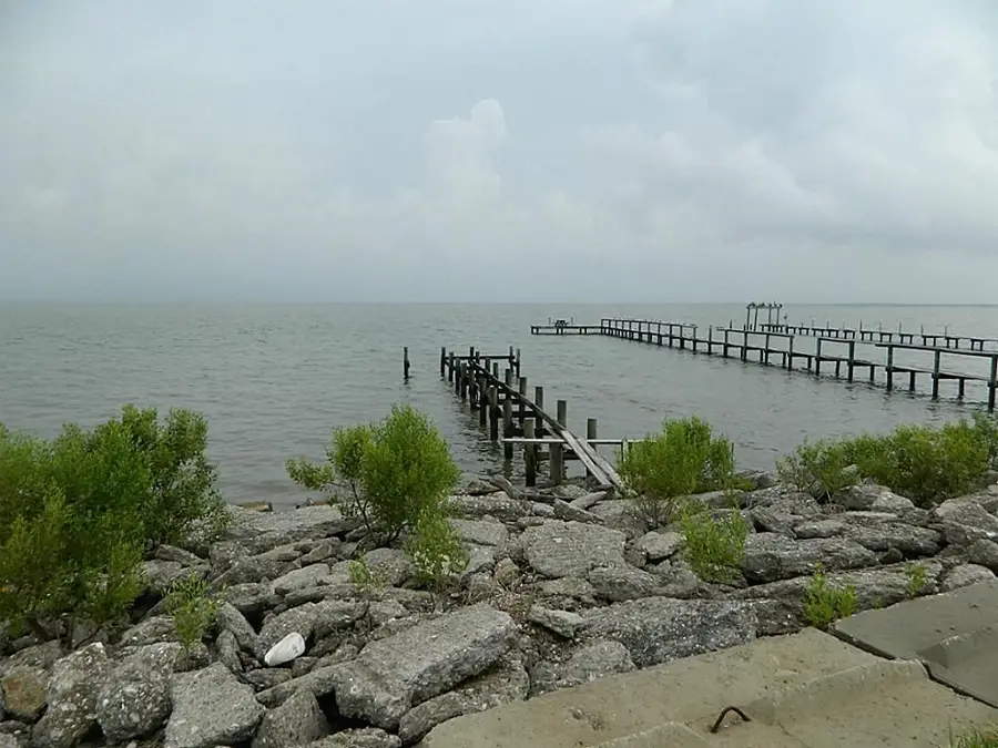 2006 Todville Road, Seabrook, TX 77586 - #3