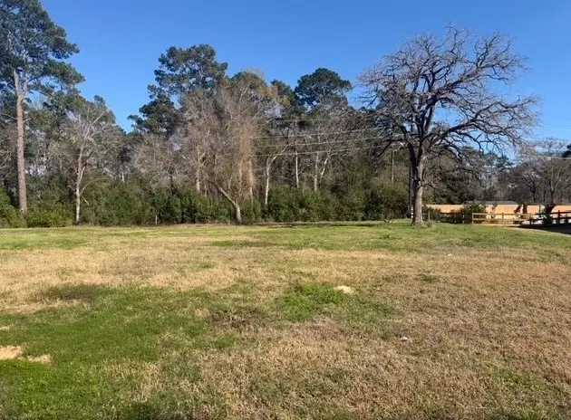 514 Black Bronco Road, Magnolia, TX 77354 - #1