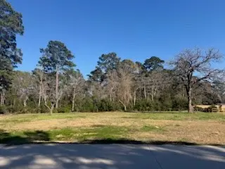 514 Black Bronco Road, Magnolia, TX 77354 - #2