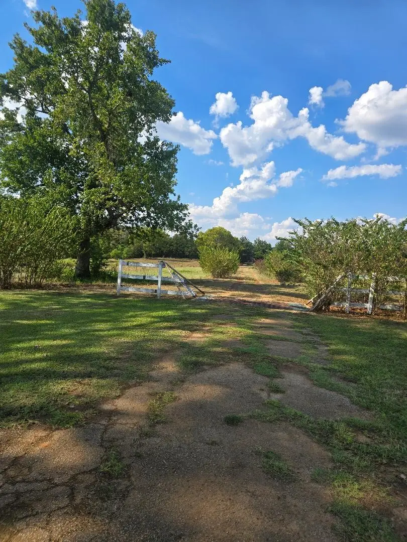 988 Cottonwood, Latexo, TX 75835 - #2