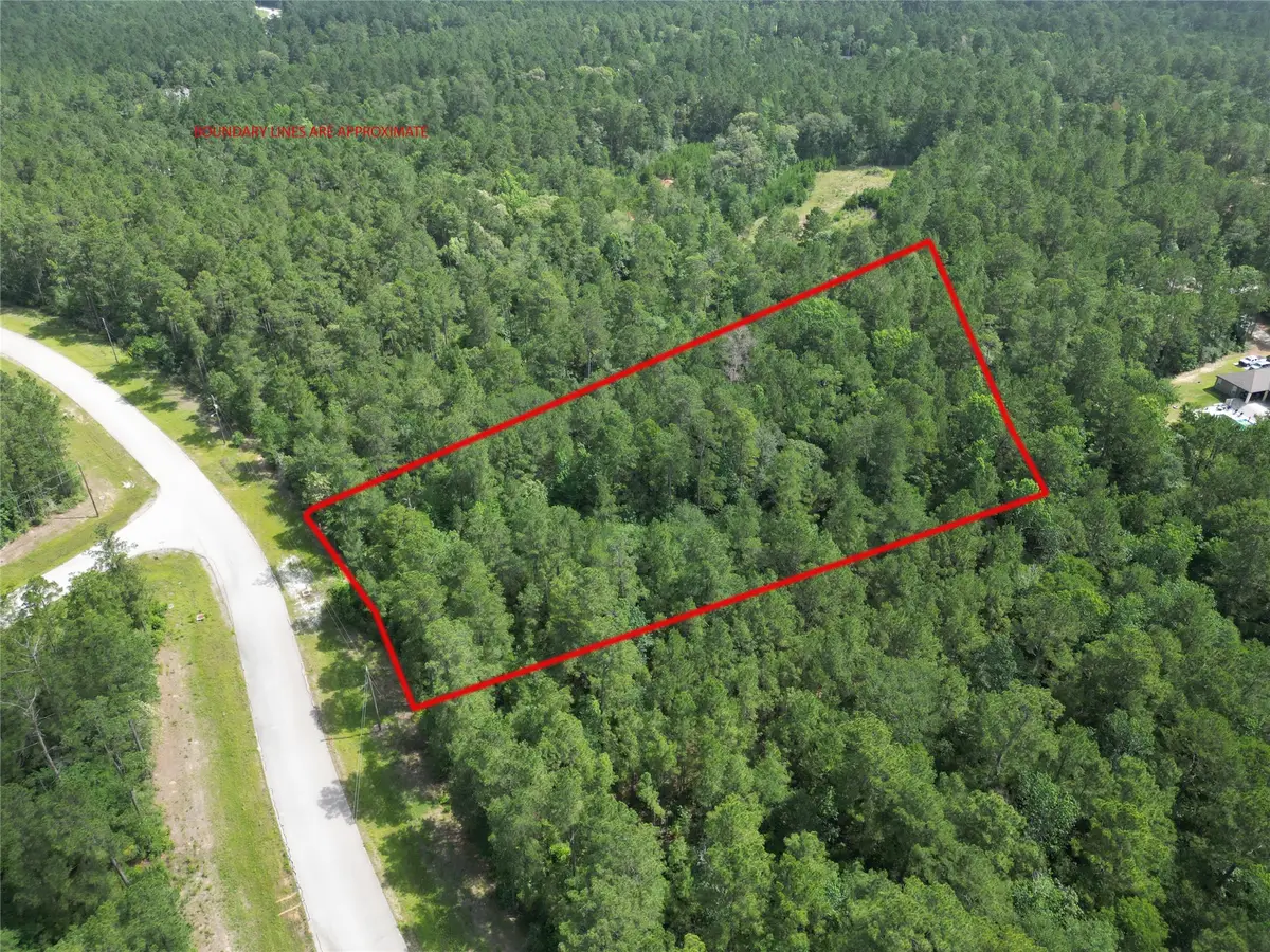 Lot 13 Windmill Road, Huntsville, TX 77340 - #1