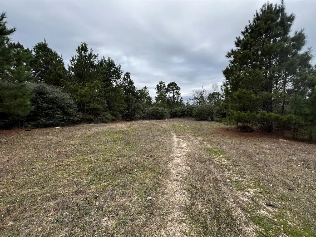 TBD County Road 207, Centerville, TX 75833 - #1