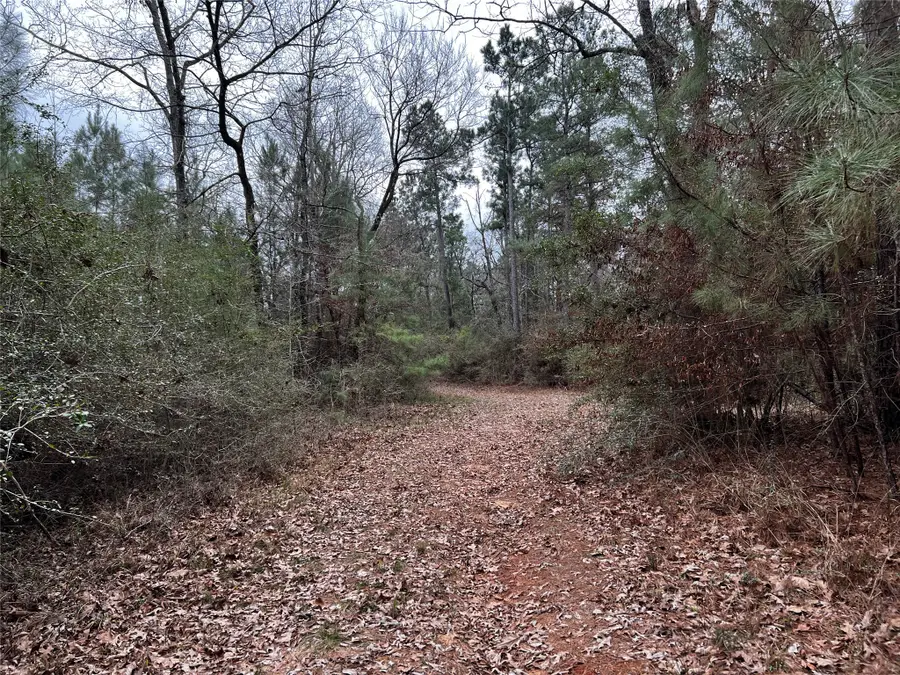 TBD County Road 207, Centerville, TX 75833 - #2