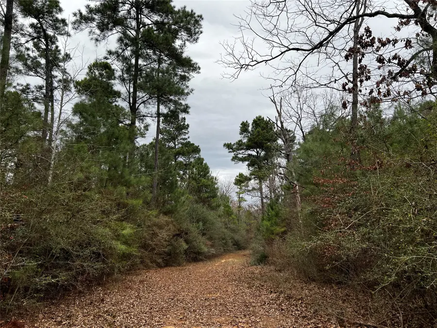 TBD County Road 207, Centerville, TX 75833 - #3