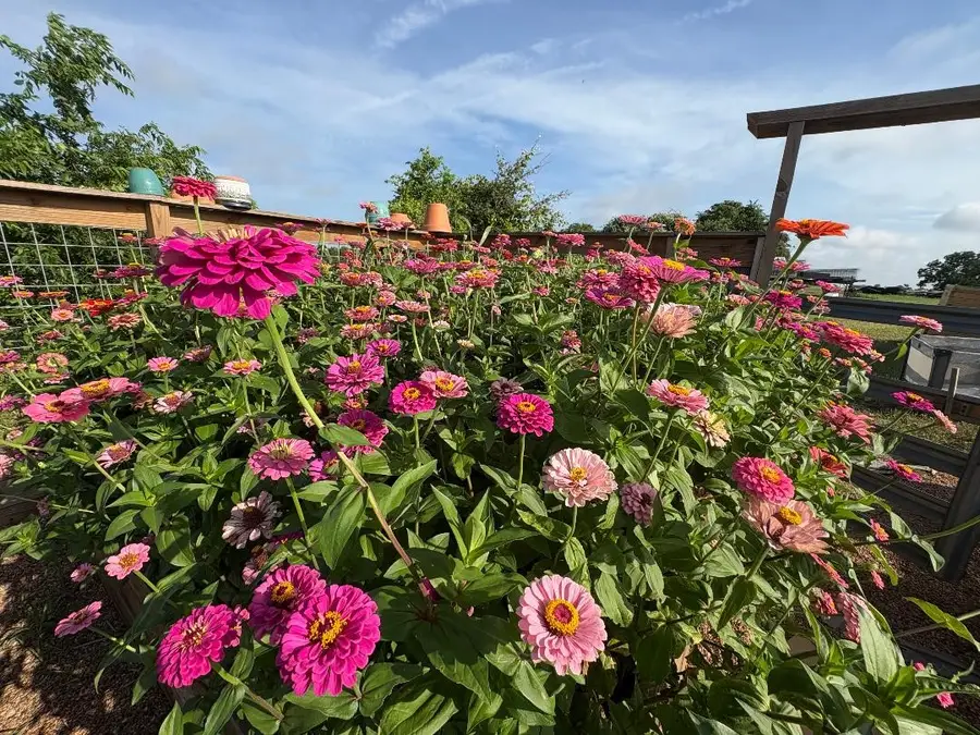 5720 Trackside Road, Chappell Hill, TX 77426 - #2