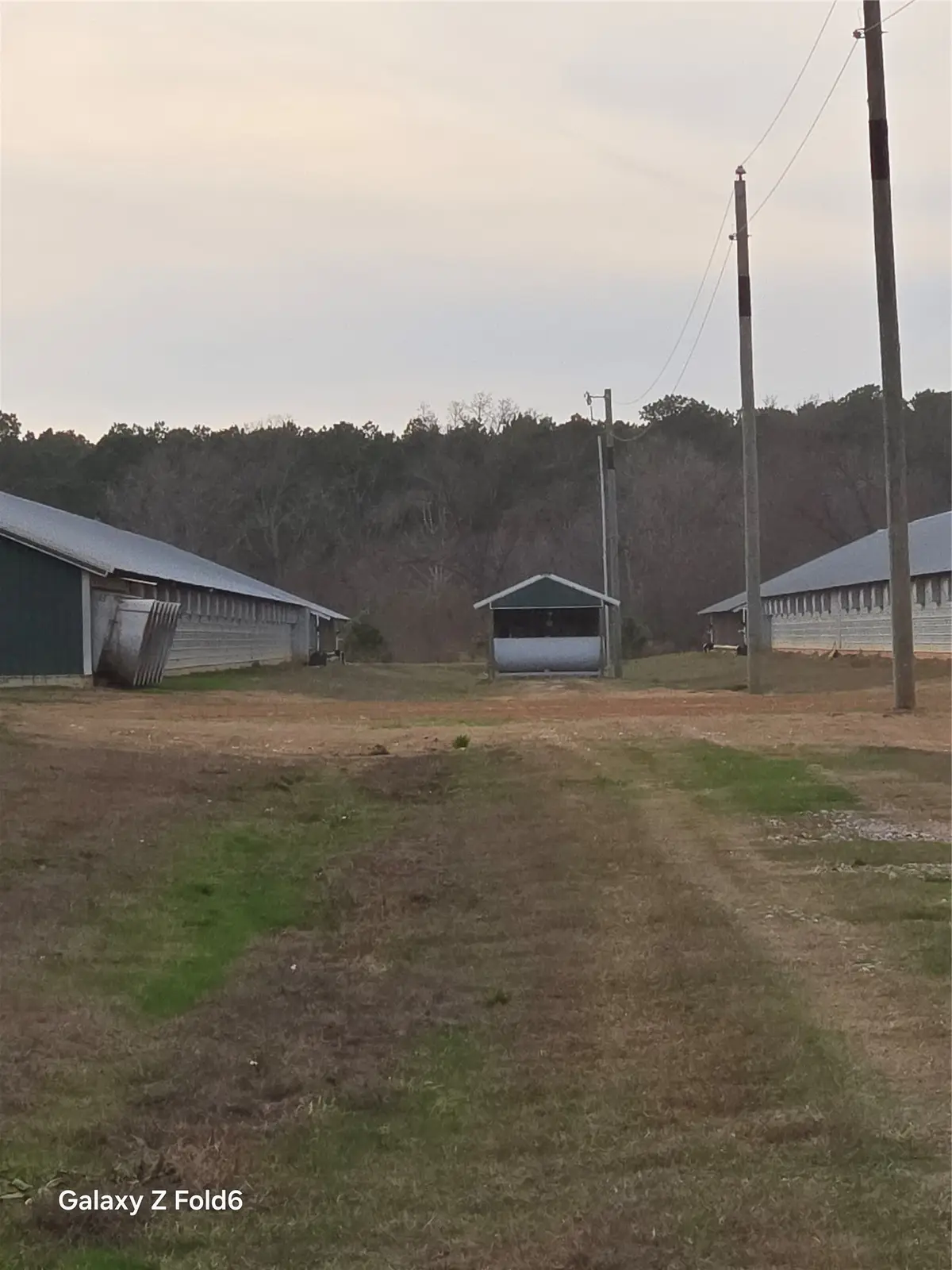 5516 Orchid Road, Ore City, TX 75683 - #1