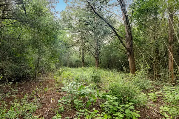 TBD Homestead Lane, Burton, TX 77835