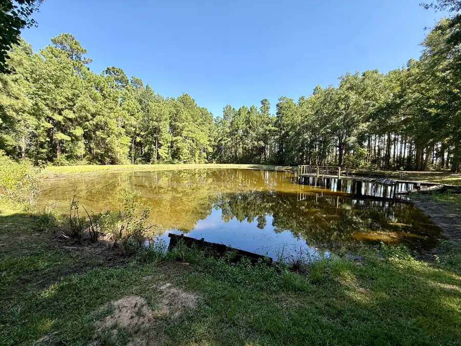 5096 N Us Highway 287, Grapeland, TX 75844 - #3