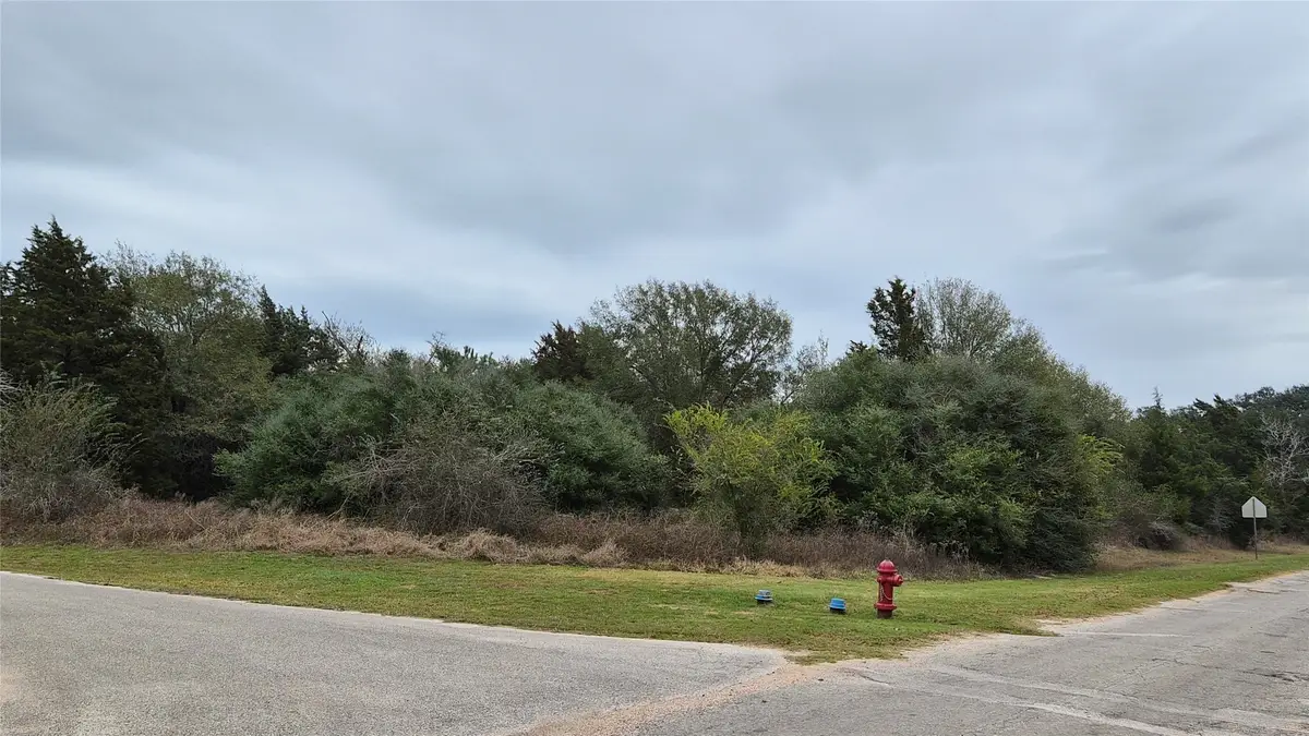 0 Shepard, Hempstead, TX 77445 - Image #1