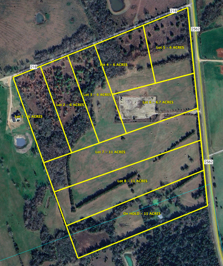 Lot #8 Fm 2562 Road, Anderson, TX 77830 - #3