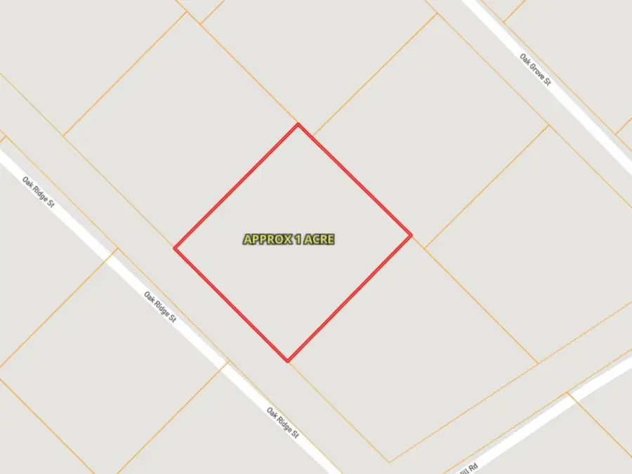 189 Oak Ridge Street, Huntington, TX 75949 - #3
