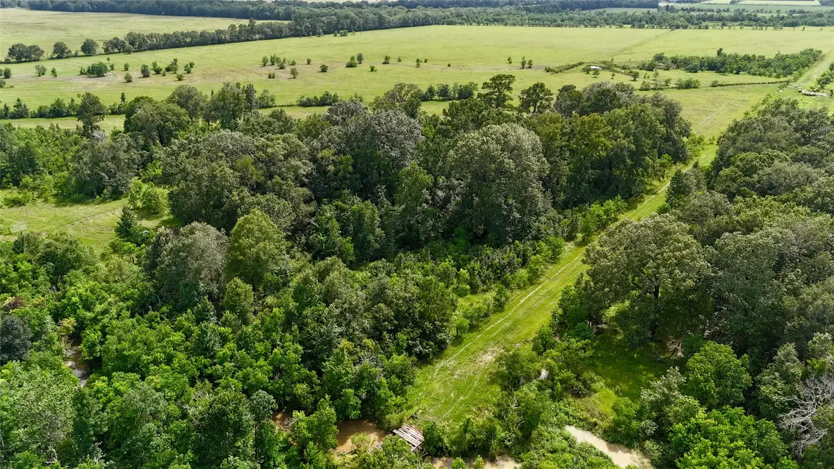 31100 Old Sour Lake Road, Sour Lake, TX 77659 - Image #1