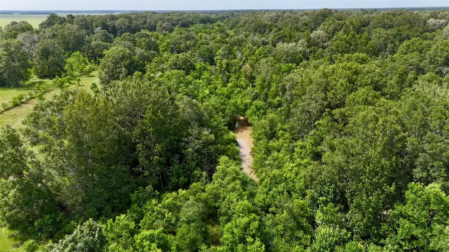 31100 Old Sour Lake Road, Sour Lake, TX 77659 - Image #2