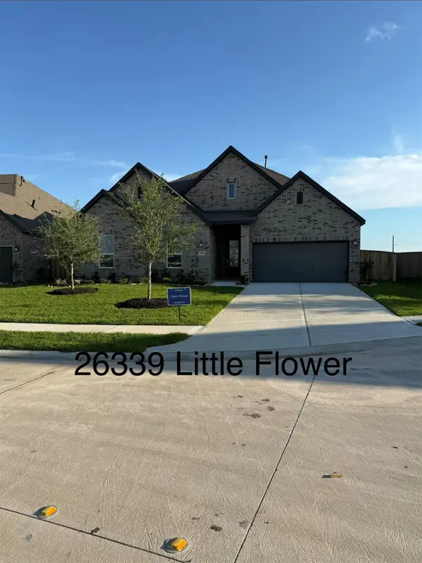 26339 Little Flower Lane, Katy, TX 77493
