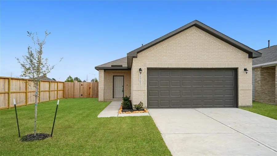 25703 Northpark Palm Drive, Porter, TX 77365 - #2