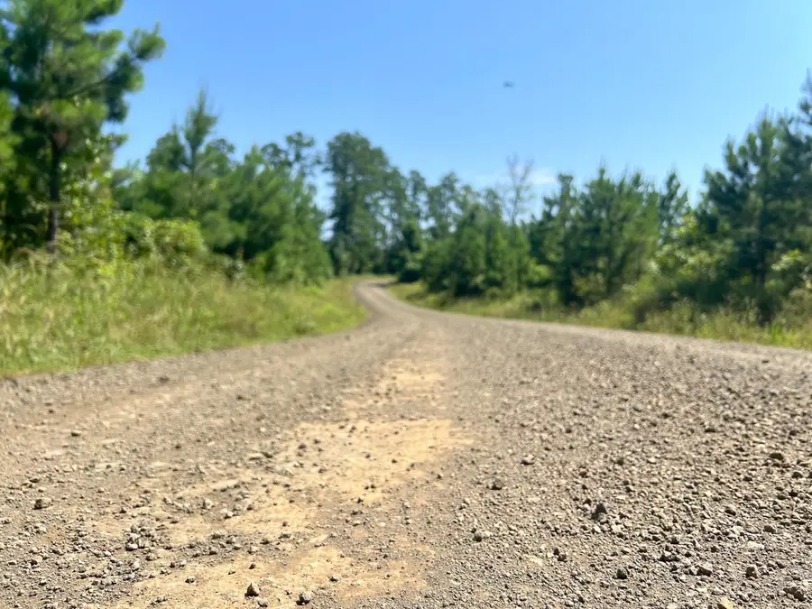 11 Carters Ferry Road, Milam, TX 75959 - #3