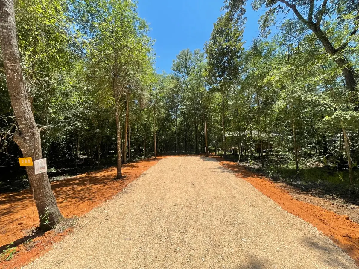 269 Cloverdale, Livingston, TX 77351 - #1
