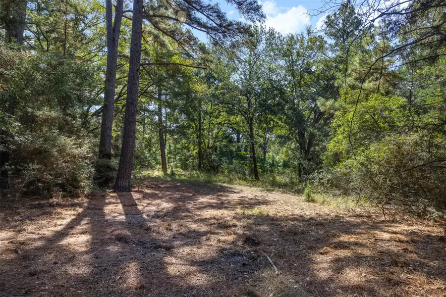 Tract 2 Farm To Market 1940, Franklin, TX 77856 - Image #2