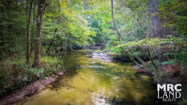 15117 Texas 87, Wiergate, TX 75977