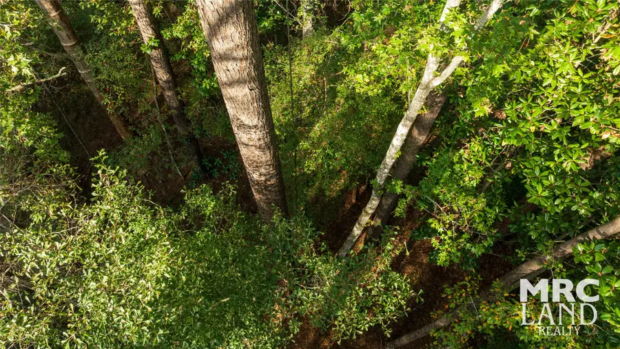 15117 Texas 87, Wiergate, TX 75977 - #2