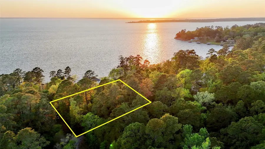 252 Forest Ridge Drive, Livingston, TX 77351 - #2