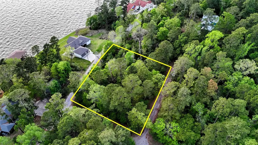 252 Forest Ridge Drive, Livingston, TX 77351 - #3