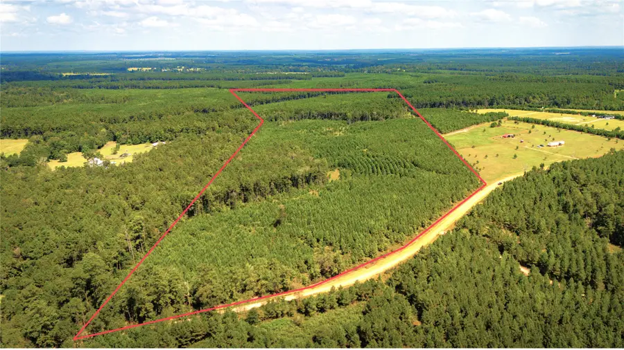 TBD Stutts Hill Road, Livingston, TX 77351 - #2
