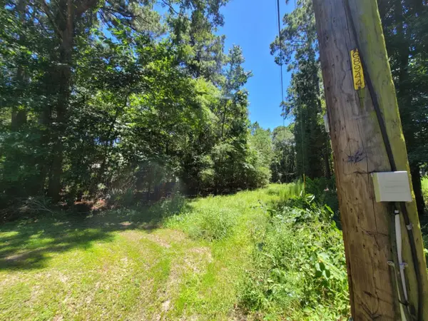 0 Chestnut Drive, Montgomery, TX 77356