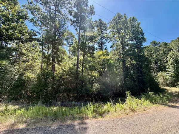 TBD Lori Drive, Trinity, TX 75862