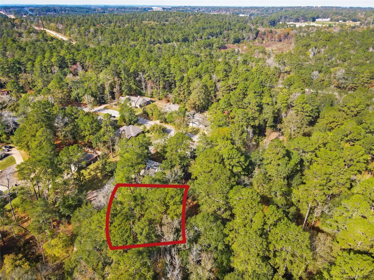 306 Inverness Drive, Huntsville, TX 77340 - Image #1