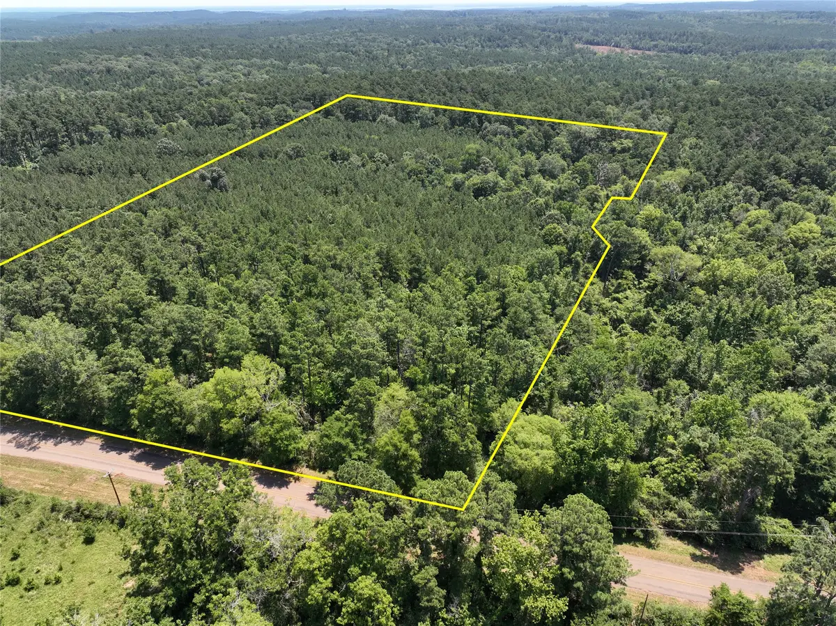 9 Fm 330, Geneva, TX 75959 - #1