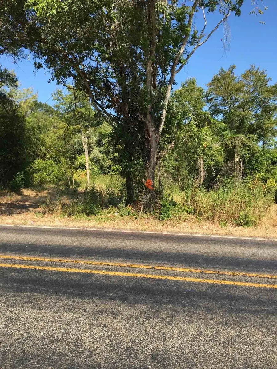 TBD State Hwy 294, Elkhart, TX 75839 - #3